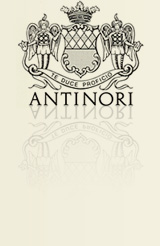 Antinori Wein im Onlineshop TheHomeofWine.co.uk
