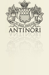 Antinori online at TheHomeofWine.co.uk