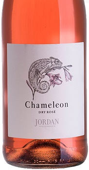 Jordan Chameleon Rose